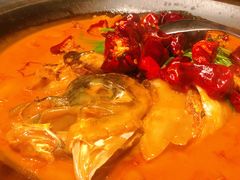 段氏绝味鱼头-柿合缘新京菜(国金中心商场店)
