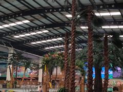 -南宫温泉水世界