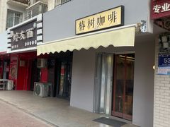 -椿树咖啡