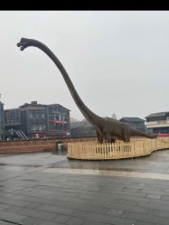 -恐龙探索乐园(磁器口店)