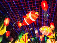 -横店影视城梦幻谷园区
