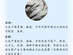 -广州绿地中央广场