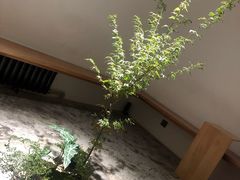 -光作面包Voila Lumiere(中山店)