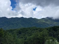 -洛阳白云山景区