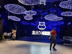 -盒马X会员店(上海森兰商都店)