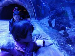 -华夏文旅海洋公园