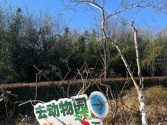 -合肥野生动物园