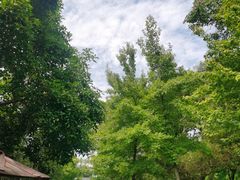 -随意茶庄·地道杭帮农家菜(梅家坞店)