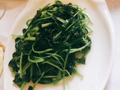 蒜蓉鸡毛菜-乾园风尚五大道