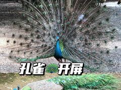 -宁波野生动物园