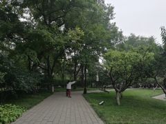 -玲珑塔公园