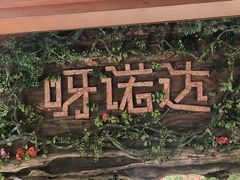 -呀诺达热带雨林