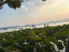 -湖畔居茶楼(湖滨店)