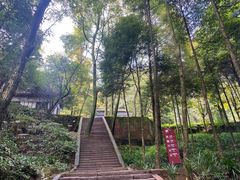 -青城山