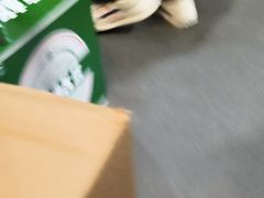 -茶油香闽南菜·花园餐厅(前埔店)