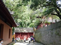 -普陀山风景名胜区-法雨禅寺