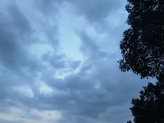 -惠山国家森林公园
