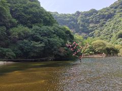 -少华山国家森林公园