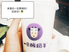 -一只酸奶牛(八一路店)
