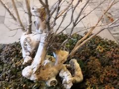 -罍+村卤菜摊(罍街店)