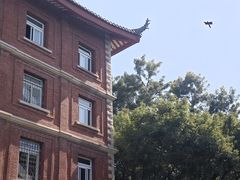 -厦门大学(思明校区)