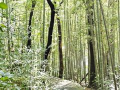 -山沟沟景区