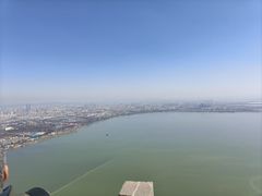 -西双版纳原始森林公园