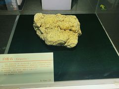 -中国第四纪冰川遗迹陈列馆
