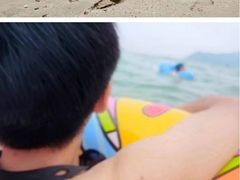 -西涌国际滨海旅游区