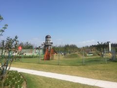 -上海长兴岛郊野公园