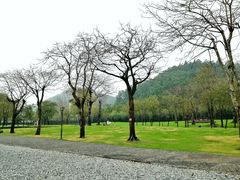 -顺峰山公园