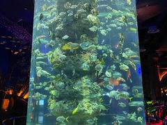-芜湖新华联大白鲸海洋公园