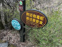 -天燕原始生态旅游区-天门垭景区