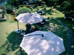 -大可堂普洱茶馆(襄阳南路馆)