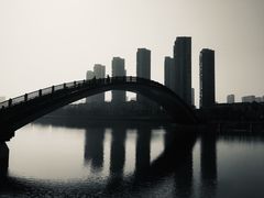 -五缘湾湿地公园