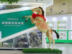 -中国农业大学(西校区)