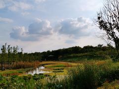 -同里国家湿地公园