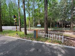 -东平国家森林公园