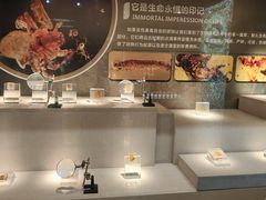 -湖南省地质博物馆