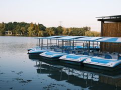 -昆山城市生态森林公园