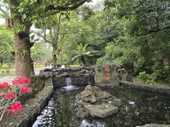 -海口火山口国家地质公园