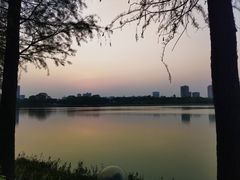 -顺峰山公园