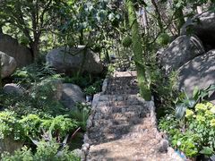 -沂蒙山旅游区云蒙景区(蒙山国家森林公园)