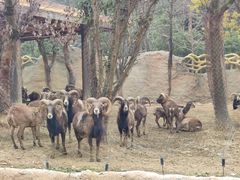 -杭州野生动物世界