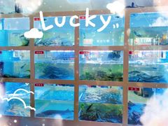 -石锅苗苗鱼(武汉首店)