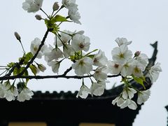 -无锡梅园公园