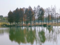 -滆湖低碳生态公园