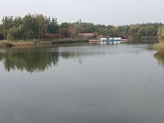-大兴滨河森林公园