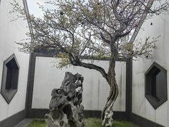 -苏州博物馆