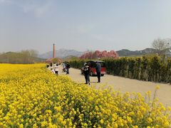 -西海岸生态观光园